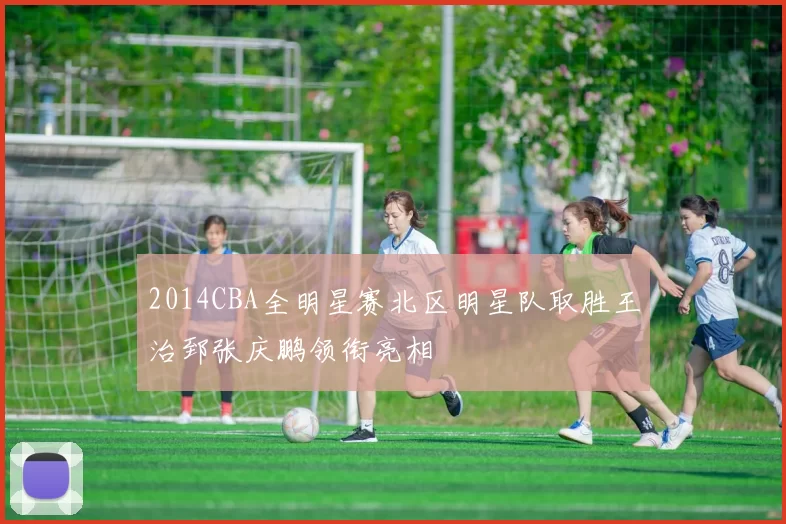 2014CBA全明星赛北区明星队取胜王治郅张庆鹏领衔亮相