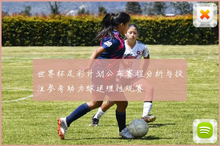 世界杯足彩计划公布赛程分析与投注参考助力球迷理性观赛